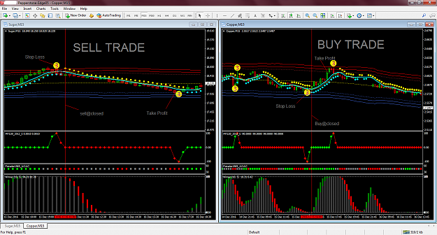 Click to Enlarge

Name: chart2.png
Size: 115 KB