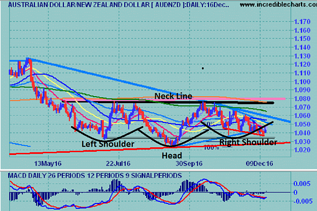Click to Enlarge

Name: audnzd_fx_price_daily_05apr16_to_02jan17__+.png
Size: 472 KB