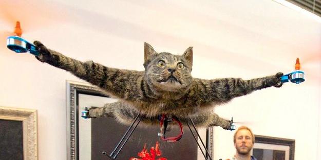 Click to Enlarge

Name: the-artist-who-turned-his-dead-cat-into-a-drone-is-building-a-helicopter-out-of-a-cow.jpg
Size: 52 KB