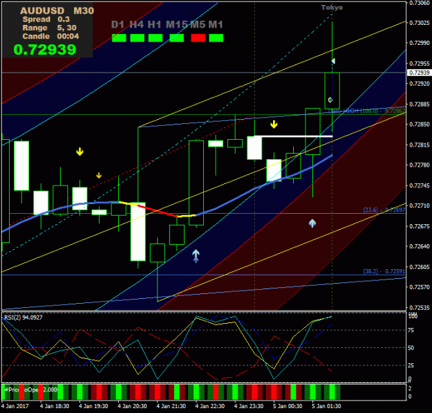Click to Enlarge

Name: Prtscr_AUDUSD_M30_02-29-56.gif
Size: 31 KB