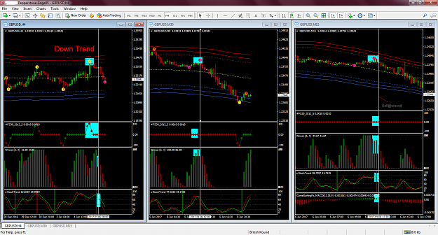 Click to Enlarge

Name: chart1.png
Size: 122 KB
