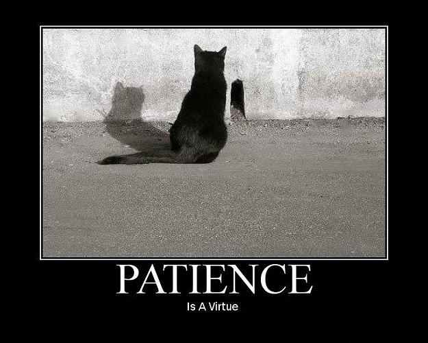 Click to Enlarge

Name: Patience.jpg
Size: 78 KB