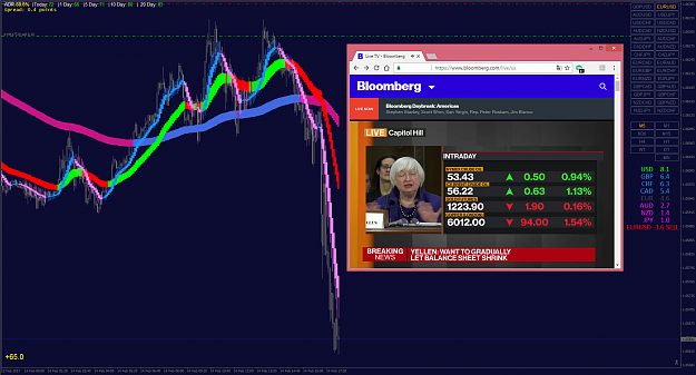 Click to Enlarge

Name: EURUSD M5 Janet Yellen's speech.png
Size: 342 KB