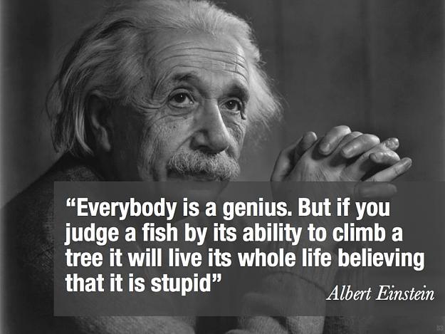 Click to Enlarge

Name: einstein.jpg
Size: 72 KB
