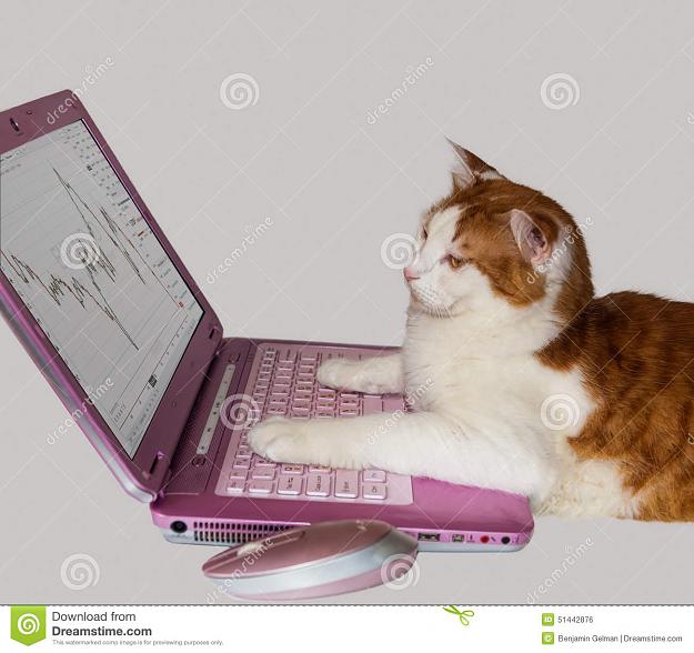 Click to Enlarge

Name: trading-stock-exchange-collage-options-cat-looking-graphs-computer-51442876.jpg
Size: 131 KB