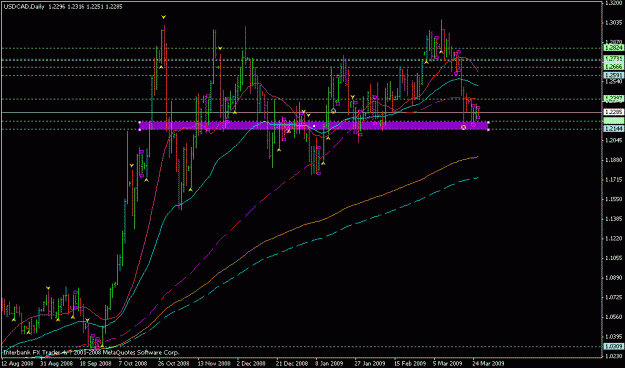 Click to Enlarge

Name: usdcad thu.gif
Size: 20 KB