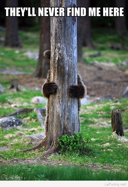Click to Enlarge

Name: bear hiding.jpg
Size: 92 KB