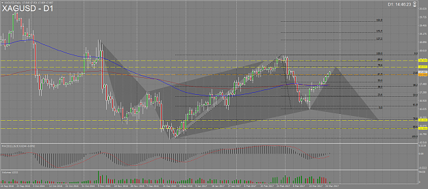 Click to Enlarge

Name: XAGUSDDaily.png
Size: 104 KB