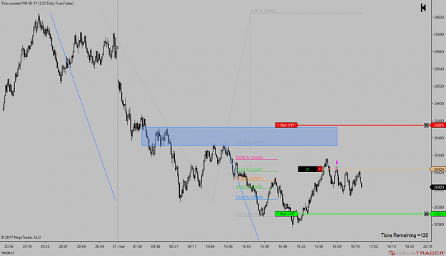 Click to Enlarge

Name: YM 06-17 (233 Tick) 2017_03_27_trade.png
Size: 112 KB
