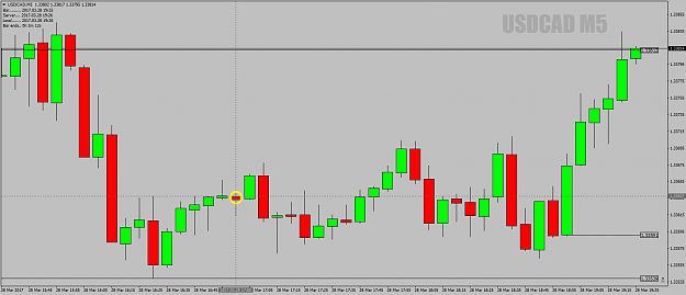Click to Enlarge

Name: USDCADM5asHOLOmulti-dipper28thMarch17.png
Size: 40 KB