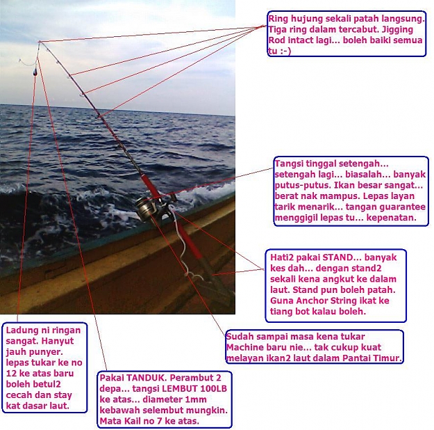 Click to Enlarge

Name: Fish6.JPG
Size: 140 KB