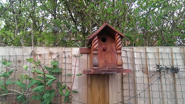Click to Enlarge

Name: BIRD HOUSE 2.jpg
Size: 1.7 MB