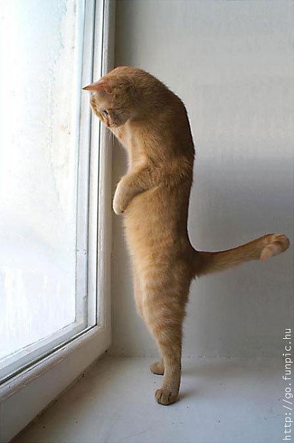 Click to Enlarge

Name: Who_Is_Down_There.jpg
Size: 31 KB