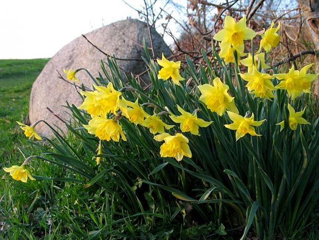 Click to Enlarge

Name: blessed easter.JPG
Size: 130 KB