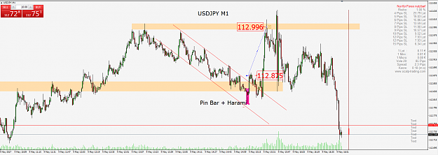 Click to Enlarge

Name: usdjpyM1.PNG
Size: 81 KB