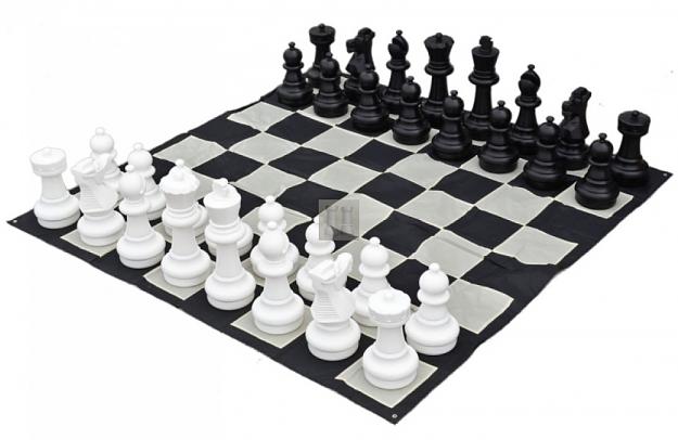 Click to Enlarge

Name: chessboard.jpg
Size: 86 KB