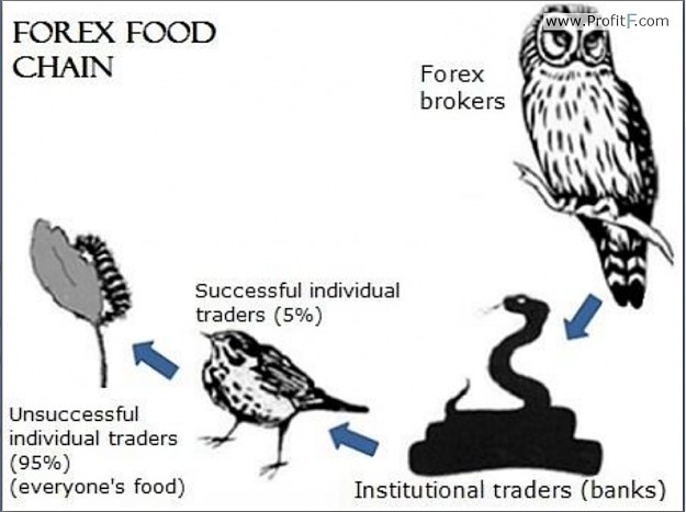 Click to Enlarge

Name: Funny-forex-foodchain.png
Size: 274 KB