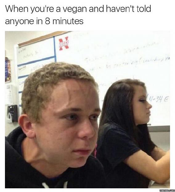 Click to Enlarge

Name: vegan1.jpeg
Size: 135 KB