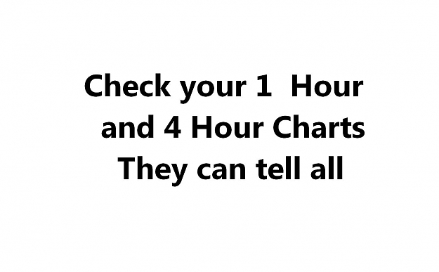 Click to Enlarge

Name: Check 1 hr 4 hr.JPG
Size: 48 KB
