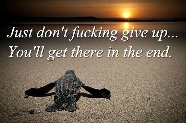 Click to Enlarge

Name: add_text.jpg
Size: 136 KB