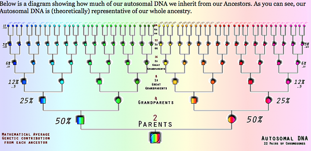 Click to Enlarge

Name: dna 2.png
Size: 134 KB
