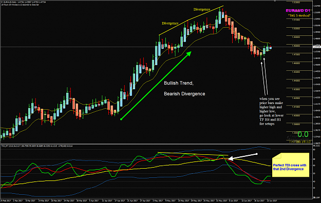 Click to Enlarge

Name: EURAUD Week 25 Divergence examples.png
Size: 87 KB