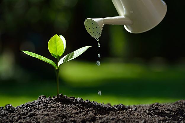 Click to Enlarge

Name: plant-shoot-being-watered-with-watering-can.jpg
Size: 97 KB