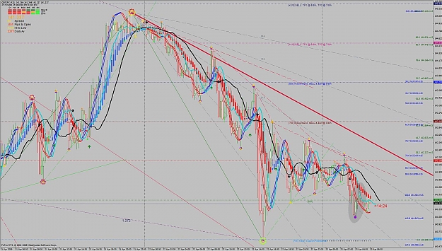 Click to Enlarge

Name: 1sttimescalper.jpg
Size: 200 KB