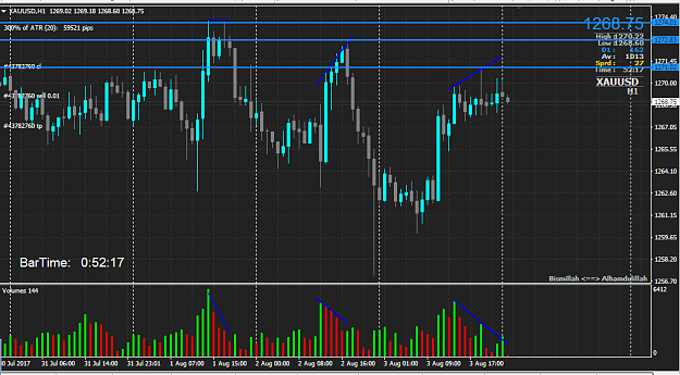 Click to Enlarge

Name: gold vsa 1 h pva.png
Size: 56 KB
