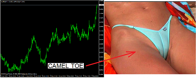 Click to Enlarge

Name: cameltoe.png
Size: 396 KB
