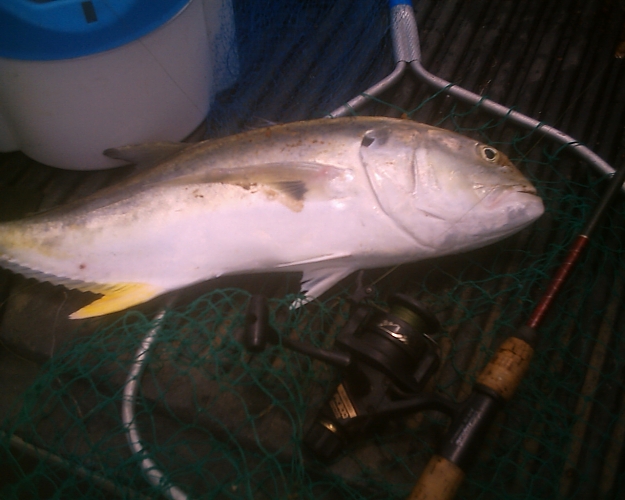 Click to Enlarge

Name: fish.jpg
Size: 288 KB