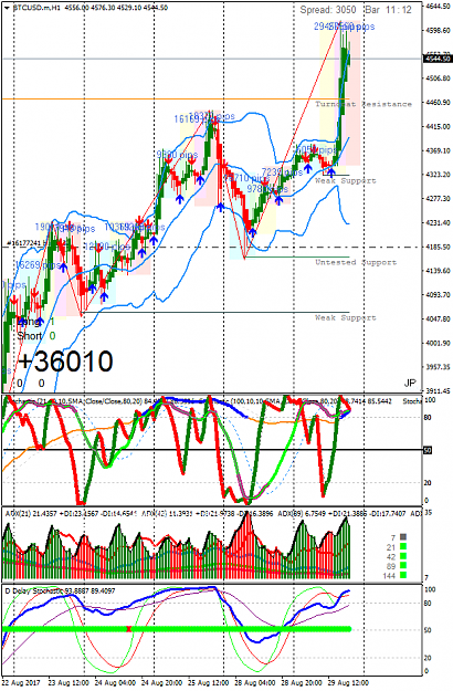 Click to Enlarge

Name: BTCUSD.mH1.png
Size: 81 KB