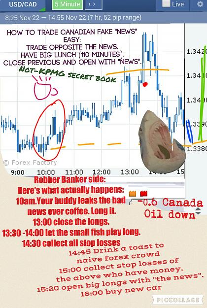 Click to Enlarge

Name: loonie thieves manual Not-KPMG.jpg
Size: 435 KB
