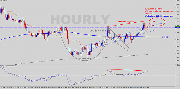 Click to Enlarge

Name: EURUSD-H1-Analysis.png
Size: 62 KB
