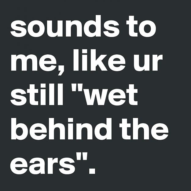 Click to Enlarge

Name: sounds-to-me-like-ur-still-wet-behind-the-ears.jpg
Size: 78 KB