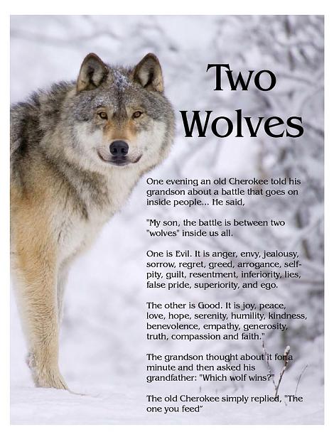 Click to Enlarge

Name: #54754 TAF - fti Two Wolves.jpg
Size: 109 KB