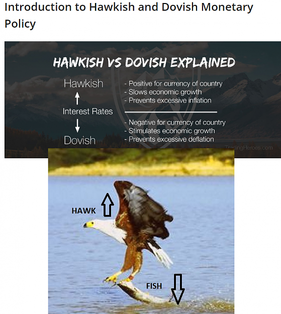 Click to Enlarge

Name: HAWK AND DOVISH.PNG
Size: 565 KB