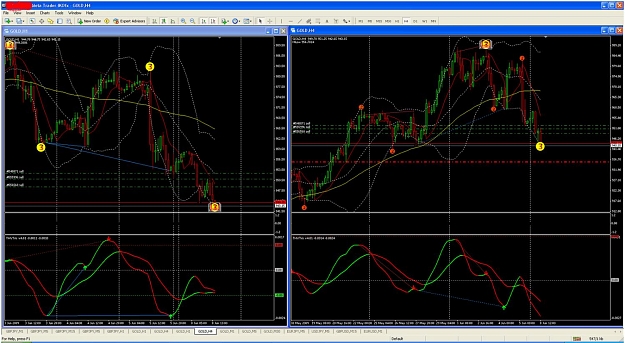 Click to Enlarge

Name: short gold 2a.jpg
Size: 177 KB