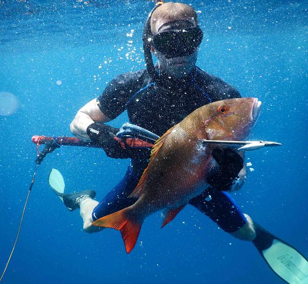Click to Enlarge

Name: spearfishing-3.jpg
Size: 1.9 MB