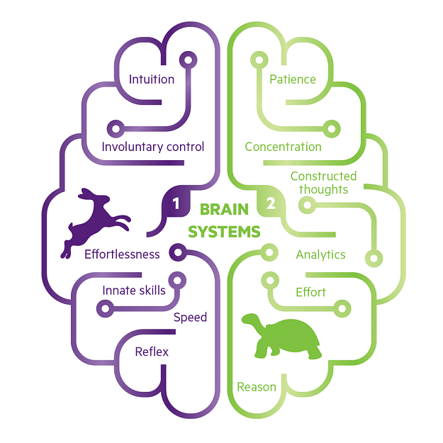 Click to Enlarge

Name: brain-systems-01-1024x1024.png
Size: 144 KB
