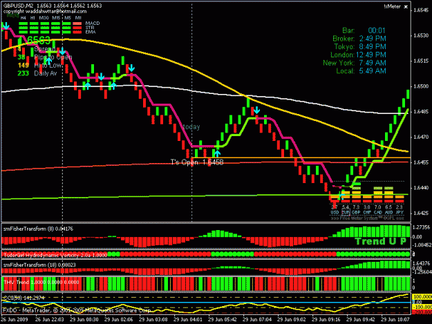 Click to Enlarge

Name: first renko bars on gu july 29.gif
Size: 23 KB