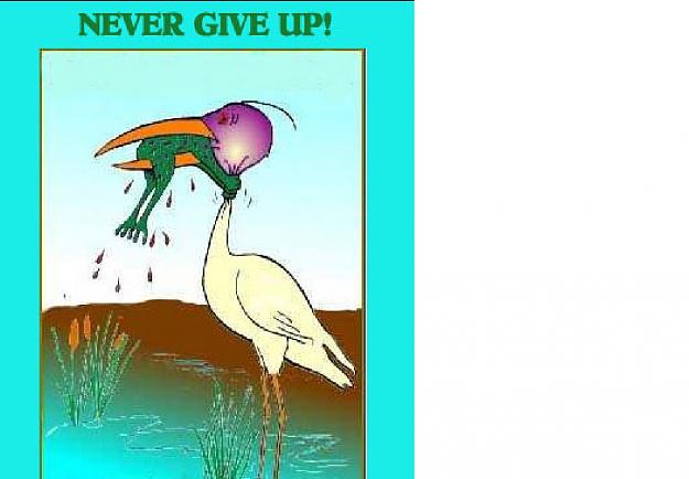 Click to Enlarge

Name: never give up.jpg
Size: 175 KB