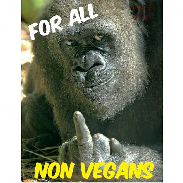 Click to Enlarge

Name: vegan.jpg
Size: 386 KB