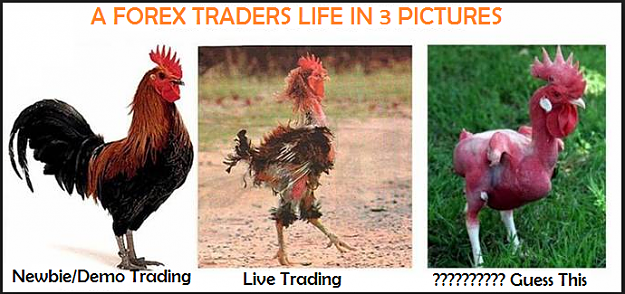Click to Enlarge

Name: A-Forex-Traders-Life-In-3-Pictures.png
Size: 327 KB