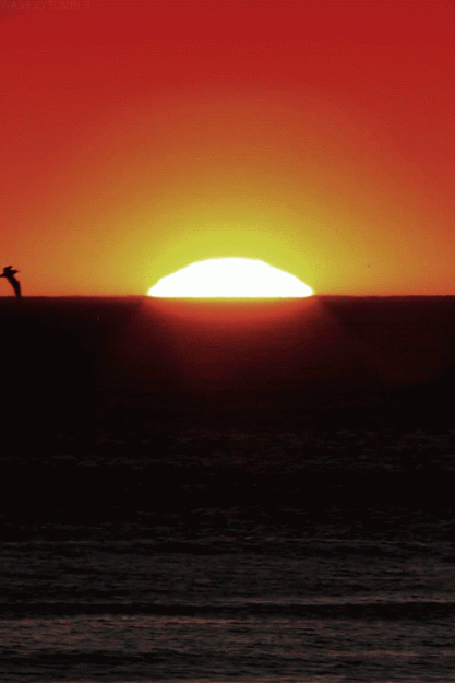 Click to Enlarge

Name: Sunset.gif
Size: 997 KB