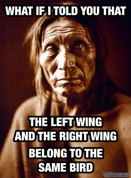 Click to Enlarge

Name: wings.jpg
Size: 70 KB
