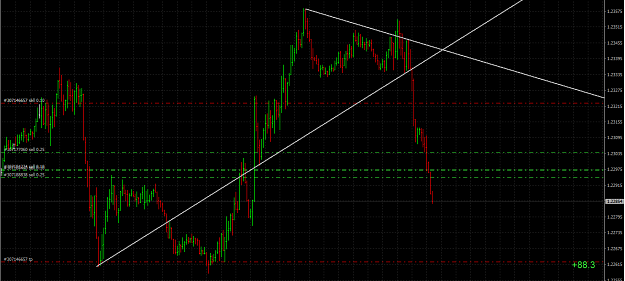Click to Enlarge

Name: eurusd.PNG
Size: 55 KB
