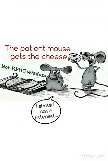 Click to Enlarge

Name: patient mouse Not-KPMG.jpg
Size: 216 KB