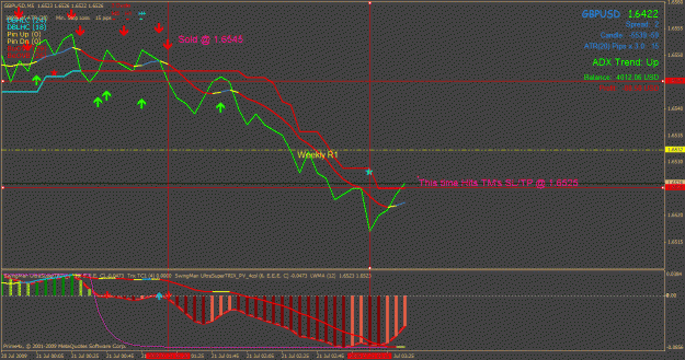 Click to Enlarge

Name: gbpusd backtest 20 pips.gif
Size: 34 KB