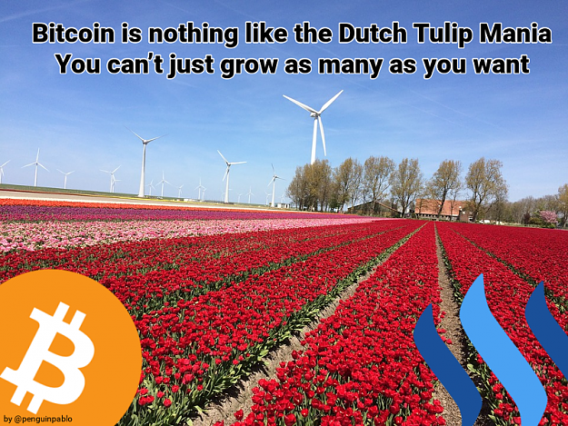 Click to Enlarge

Name: tulip,bitcoin1.png
Size: 880 KB